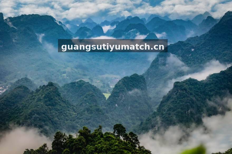 光速体育移动端体验焕新，比分页加载速度再提升